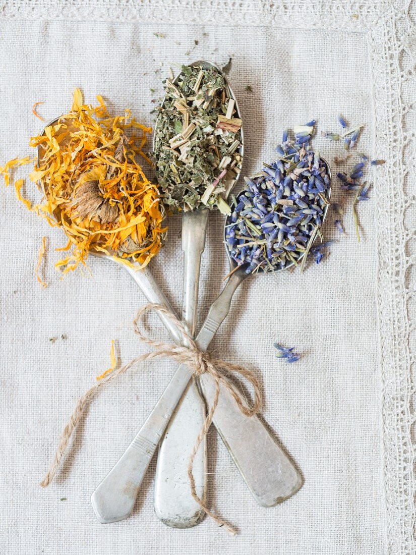 Getrocknete Heilkräuter: Lavendel (Lavandula), Mädesüß (Filipendula ulmaria) und Ringelblume (Calendula officinalis) auf Silberlöffeln