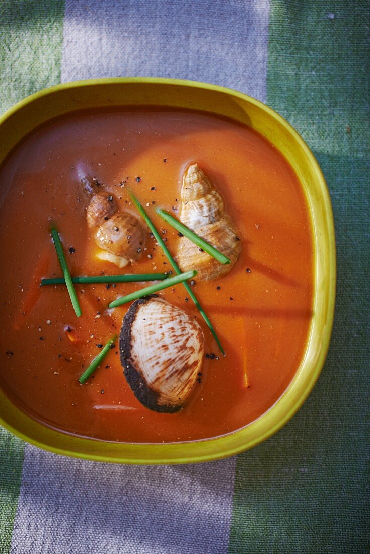 Fischsuppe mit Muscheln und Meeresschnecken