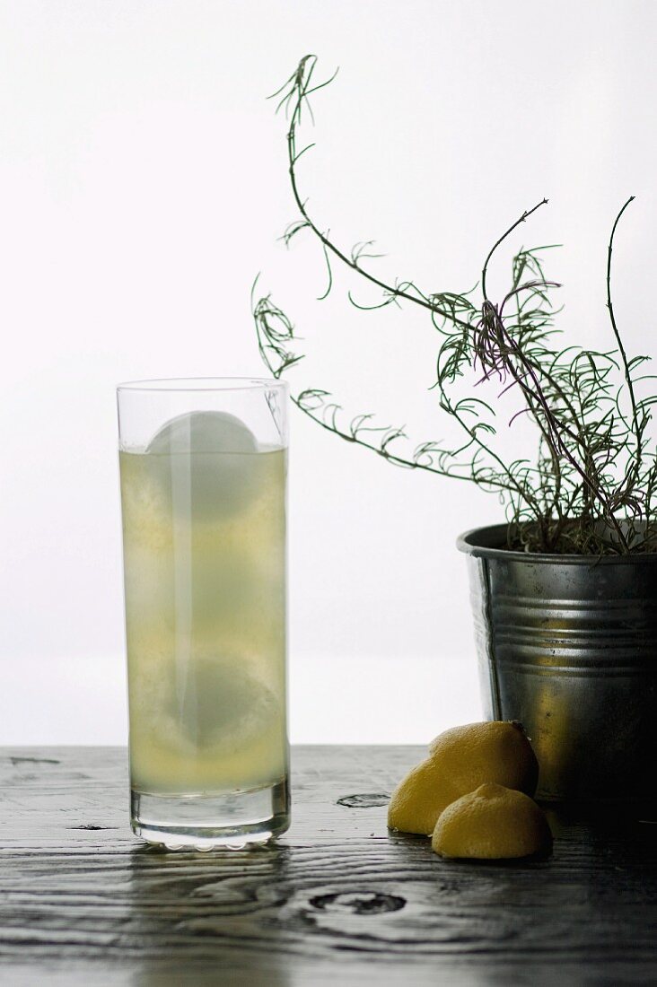 A lemon cocktail with rosemary