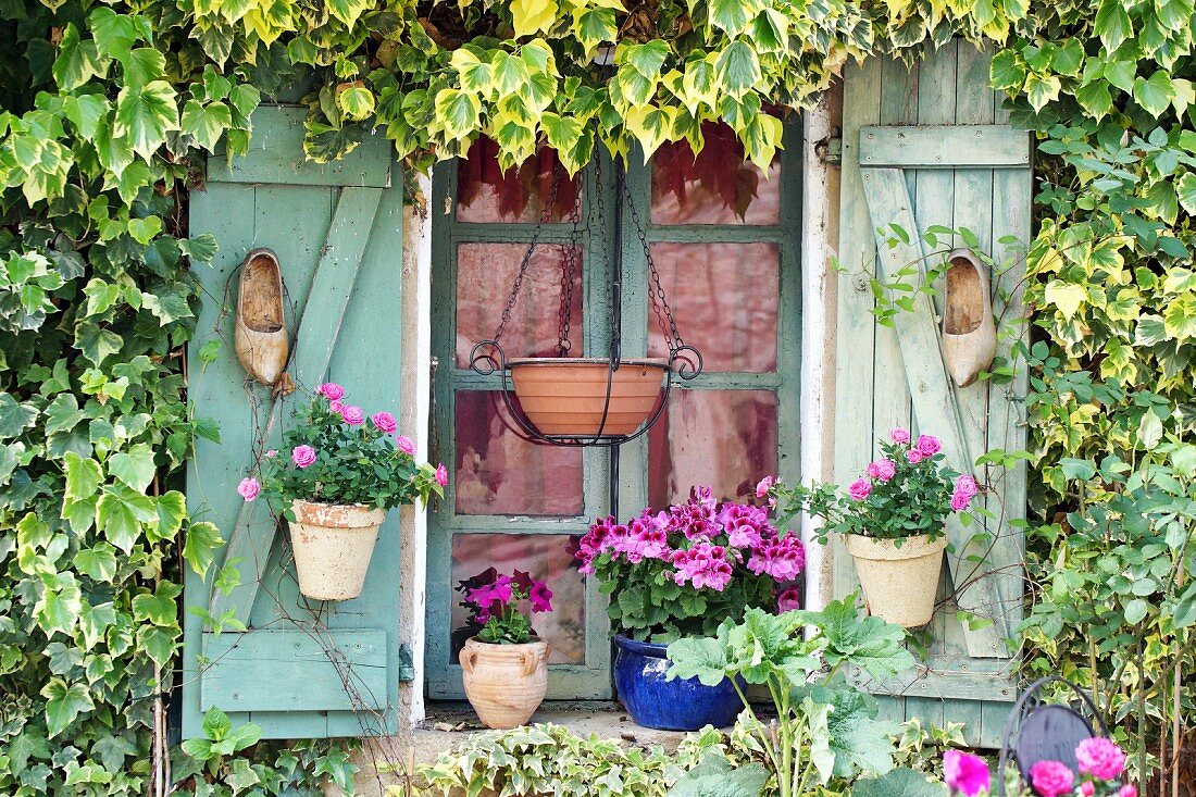 Mit alten Holzschuhen, Rosen- und Geranientöpfen dekorierte Fensterläden