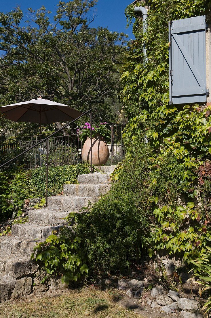 Begrünte Natursteintreppe zu der Terrasse eines provenzalischen Gästehauses, seitlich ein geöffneter, hellblauer Bretterladen