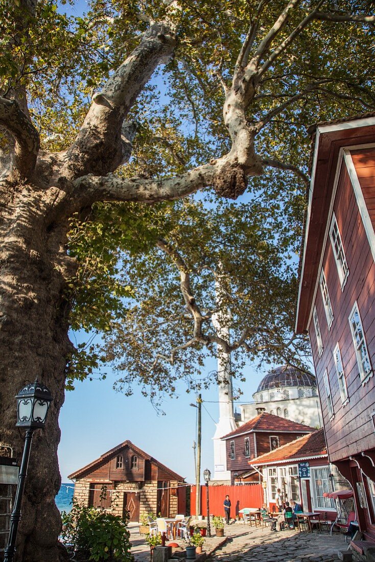 A cafe next to the Poyazlar Sahil mosque by the sea near Darsu Köyü between Side und Sinop on the coastal road, Turkey