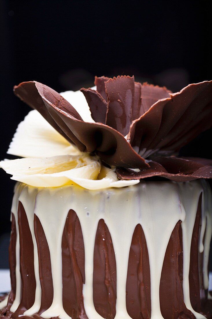 A festive chocolate cake with a chocolate fan