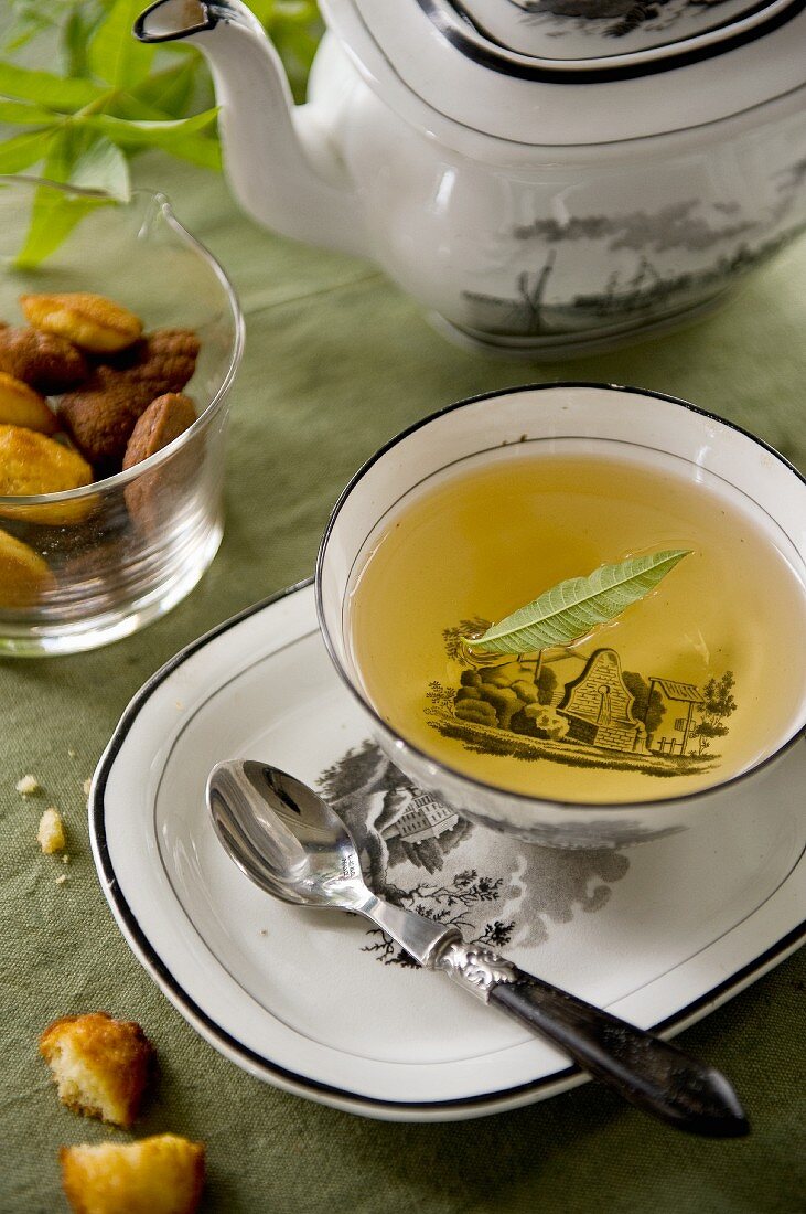 Herbal tea with verbena and madeleines