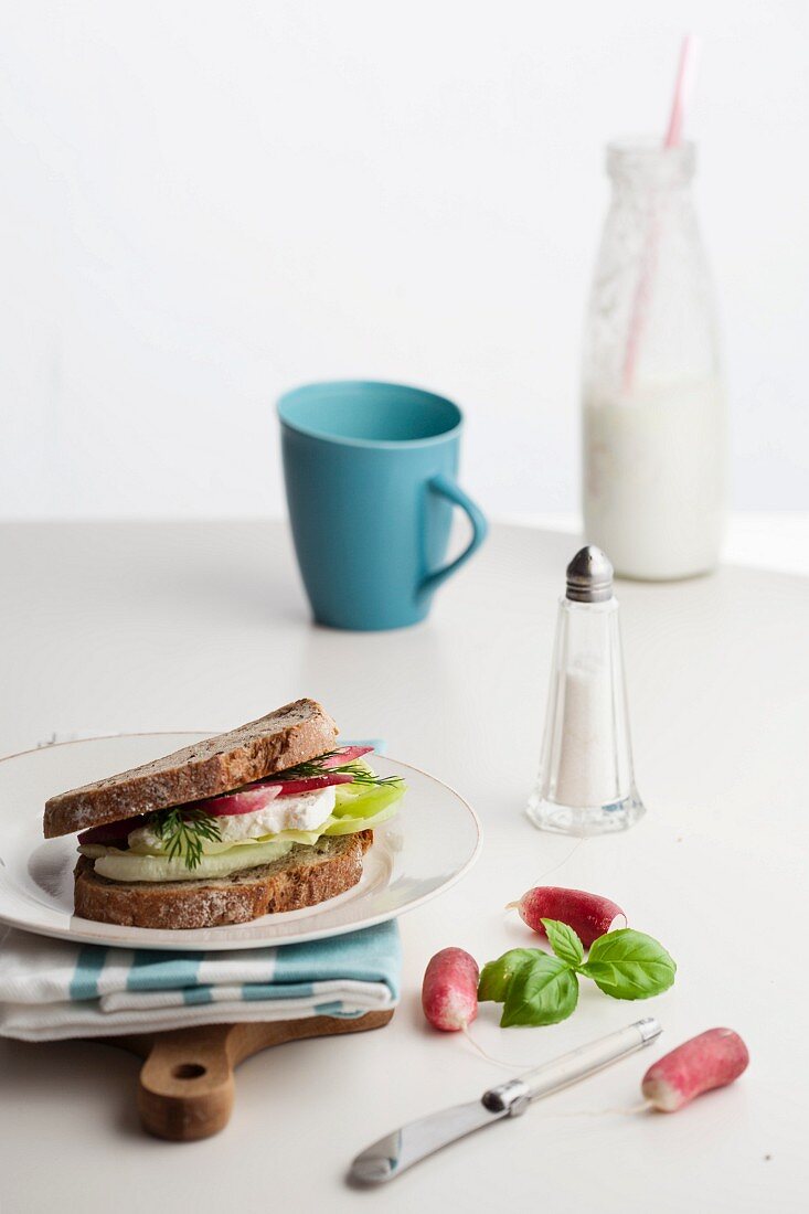 Sandwich mit Salat, Hüttenkäse und Radieschen, Milchflasche und Salzstreuer