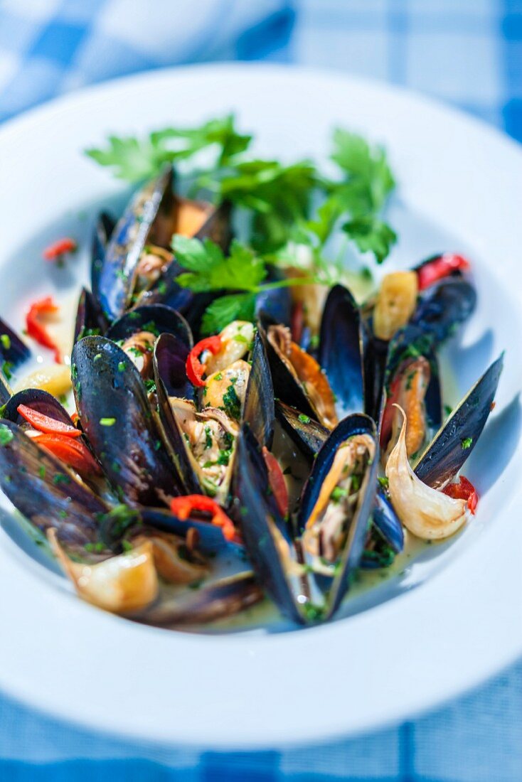 Mussels in a wine broth with chillis and garlic