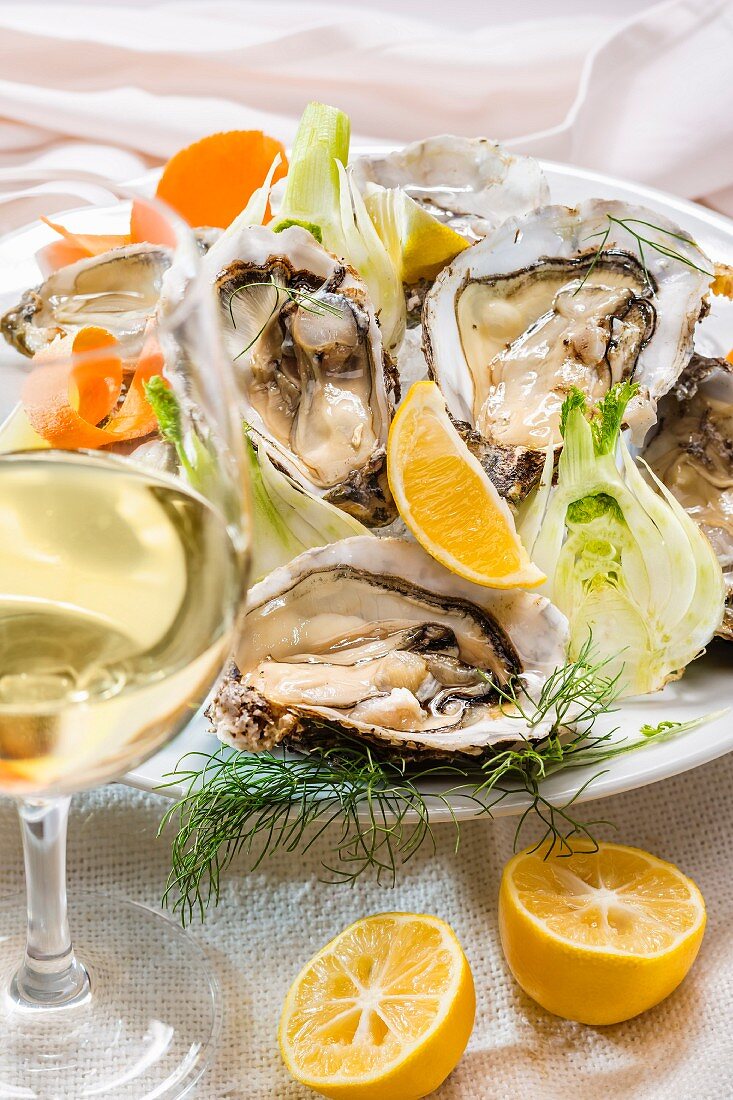 Fresh oysters with fennel and lemons and a glass of white wine