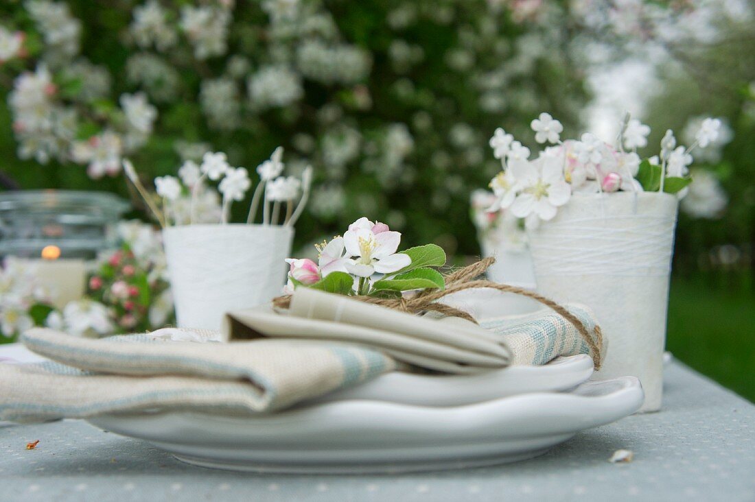 Napkins and apple blossom on plate