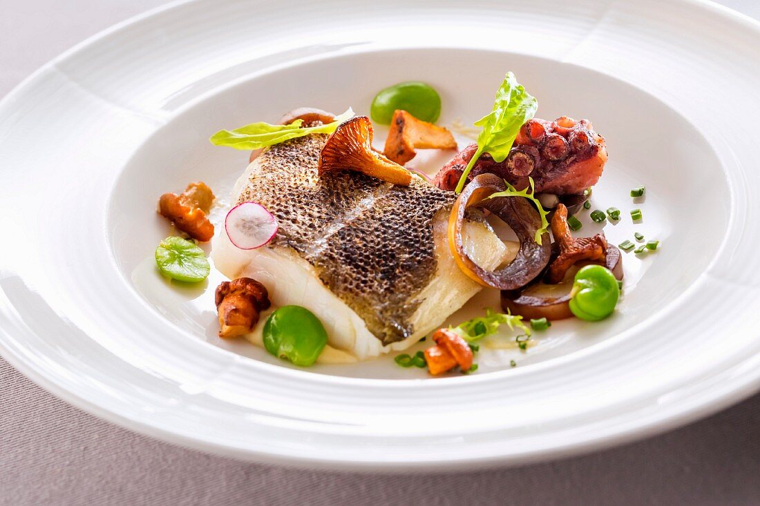 Cod fillet with octopus, broad beans and chanterelle mushroom on mayonnaise