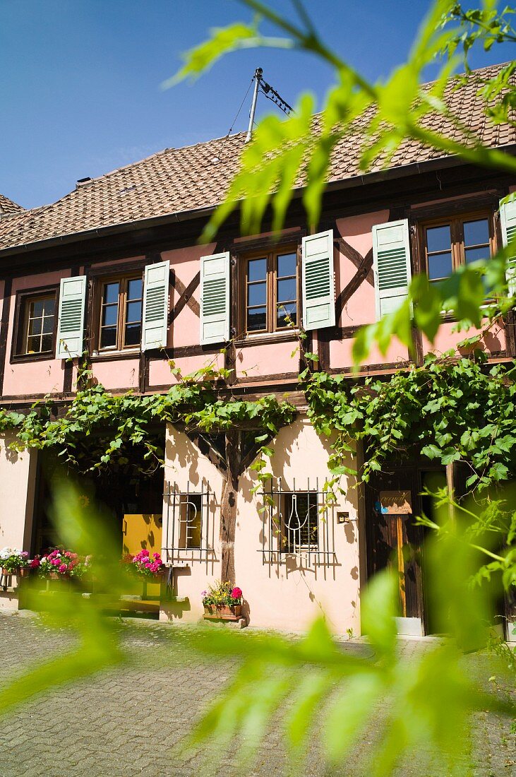 Der Innenhof des Domaine Pierre Frick, einem der Wegbereiter des ökologischen Weinbaus im Elsass