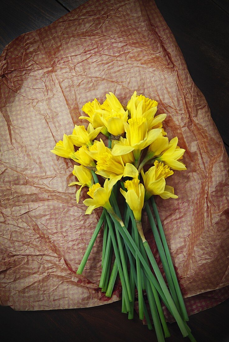 Bunch of fresh daffodils on brown paper seen from above