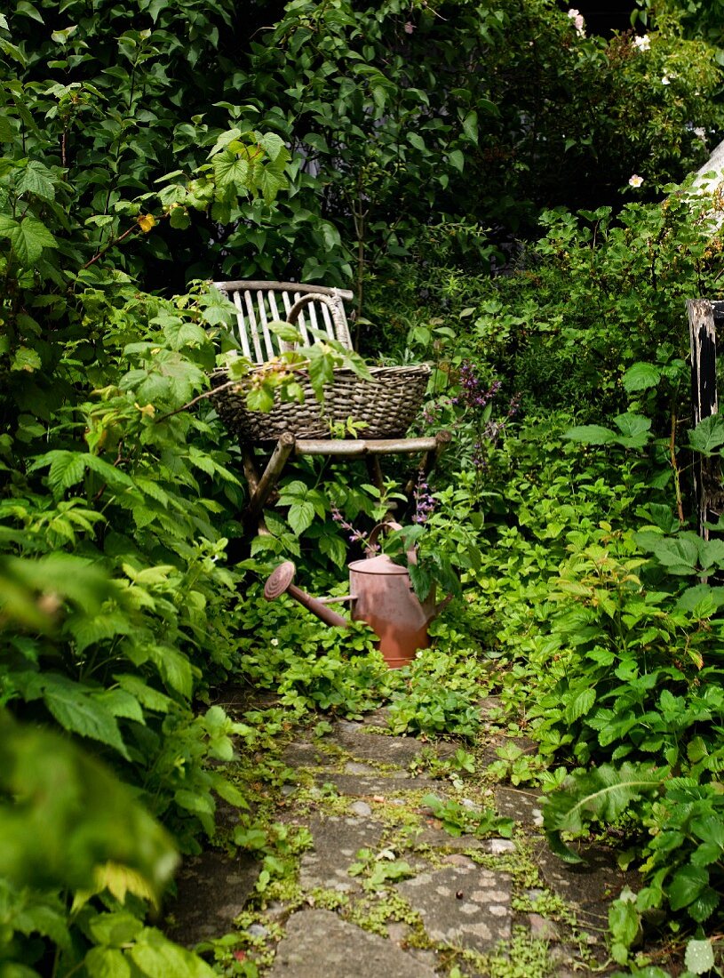 Basket on wooden folding chair and vintage watering can in densely planted garden