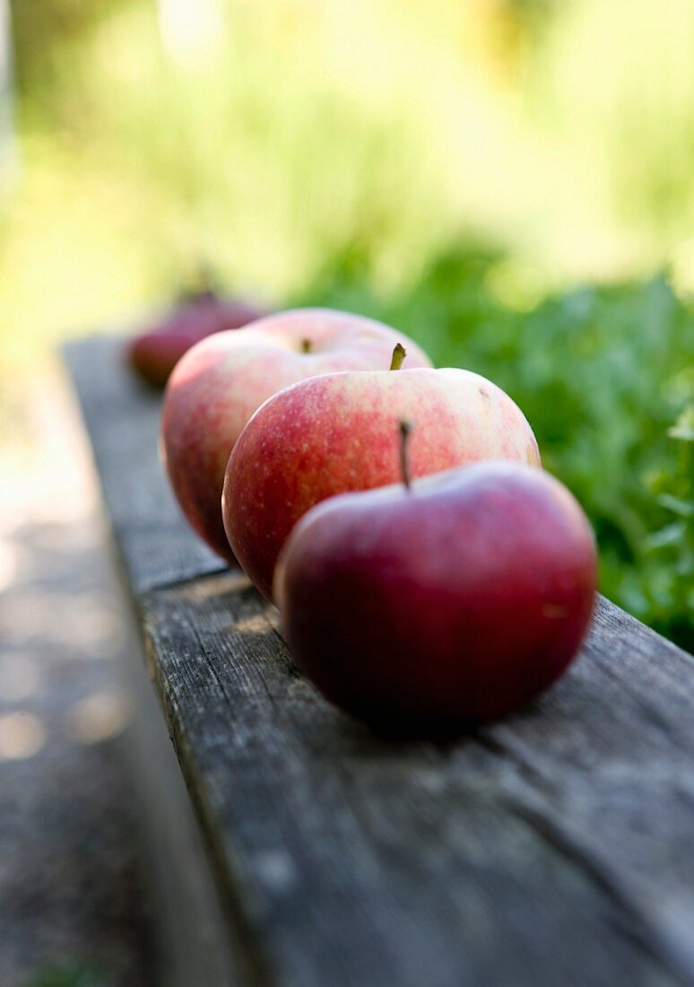 Rote Äpfel in Reihe auf verwittertem Holzbrett