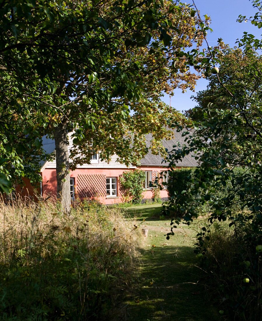 Rasenweg in sommerlichem Garten, im Hintergrund sonnenbeschienenes Landhaus