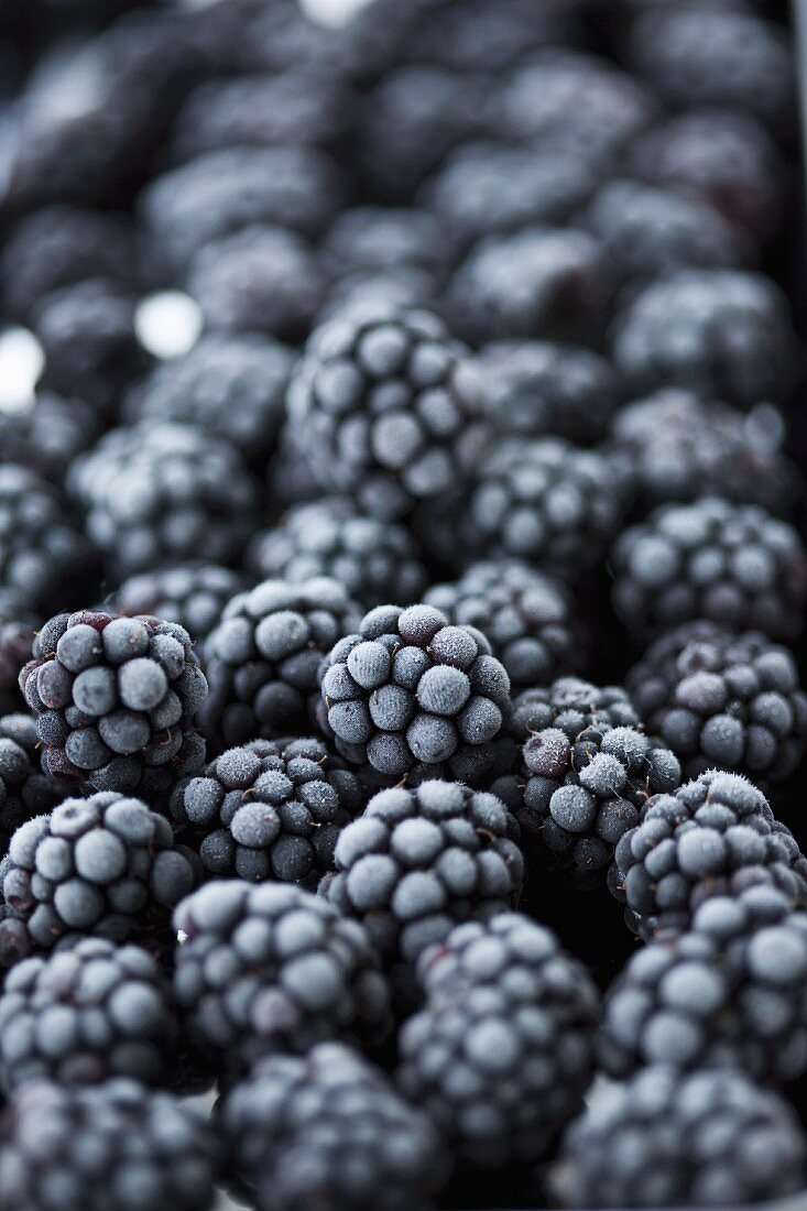 Frozen blackberries (full frame)