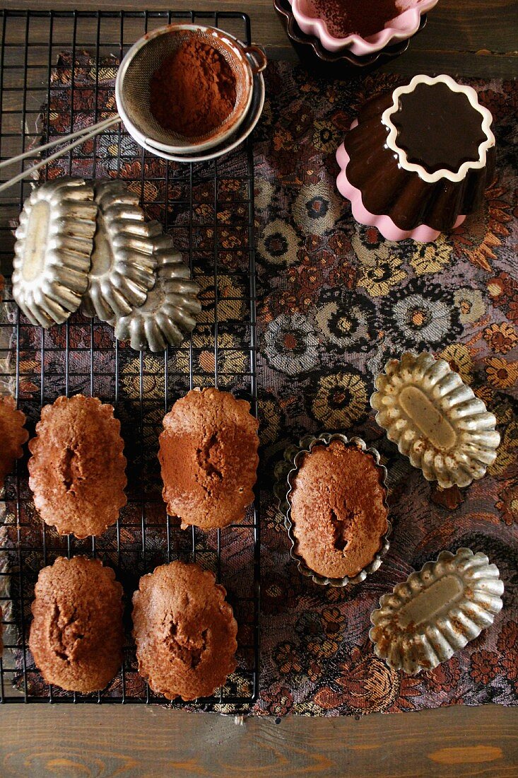 Madeleines with cocoa powder