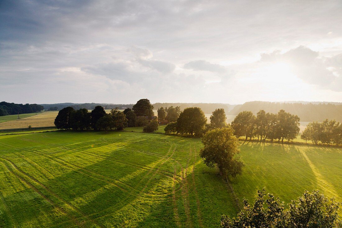 The Osnabrücker Land natural park seen from the Venner Tower