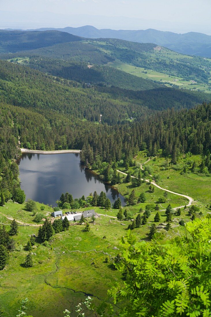 A view of the trout lake, Vogesen, Alsace, France