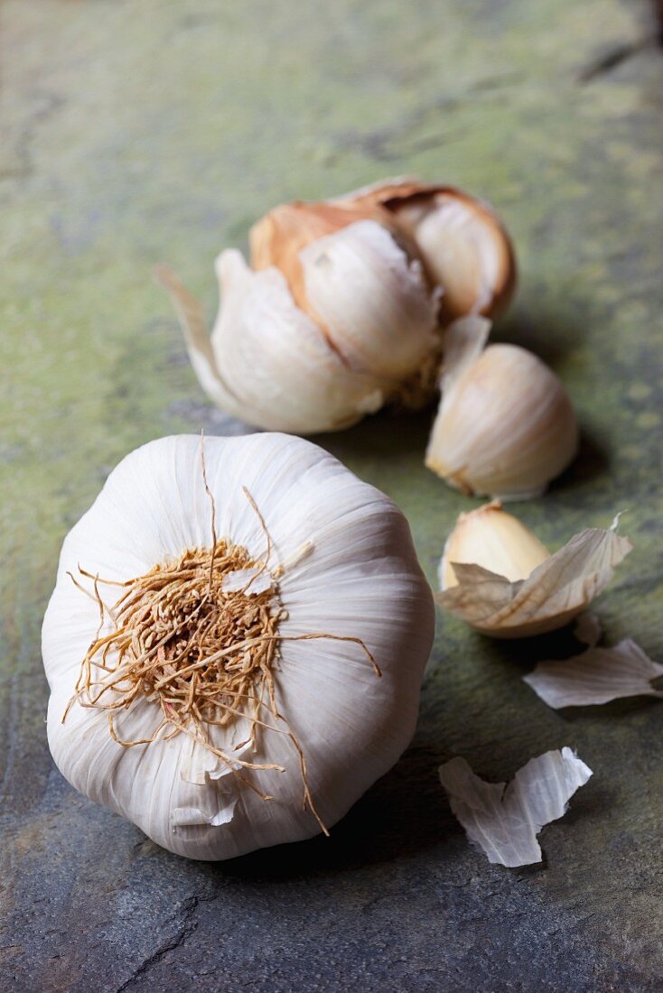 Garlic