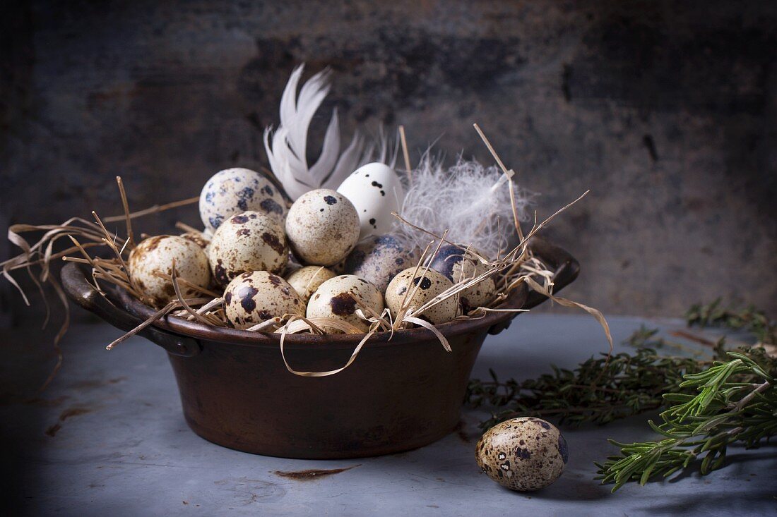 Quail eggs in vintage bowl lined with straw and feathers with rosemary and thyme next to it