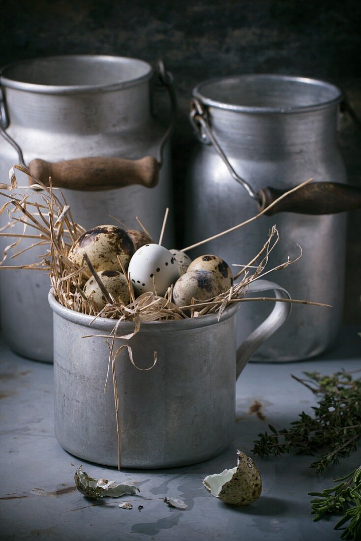Quail eggs in an aluminium mug with old milk churns in the background