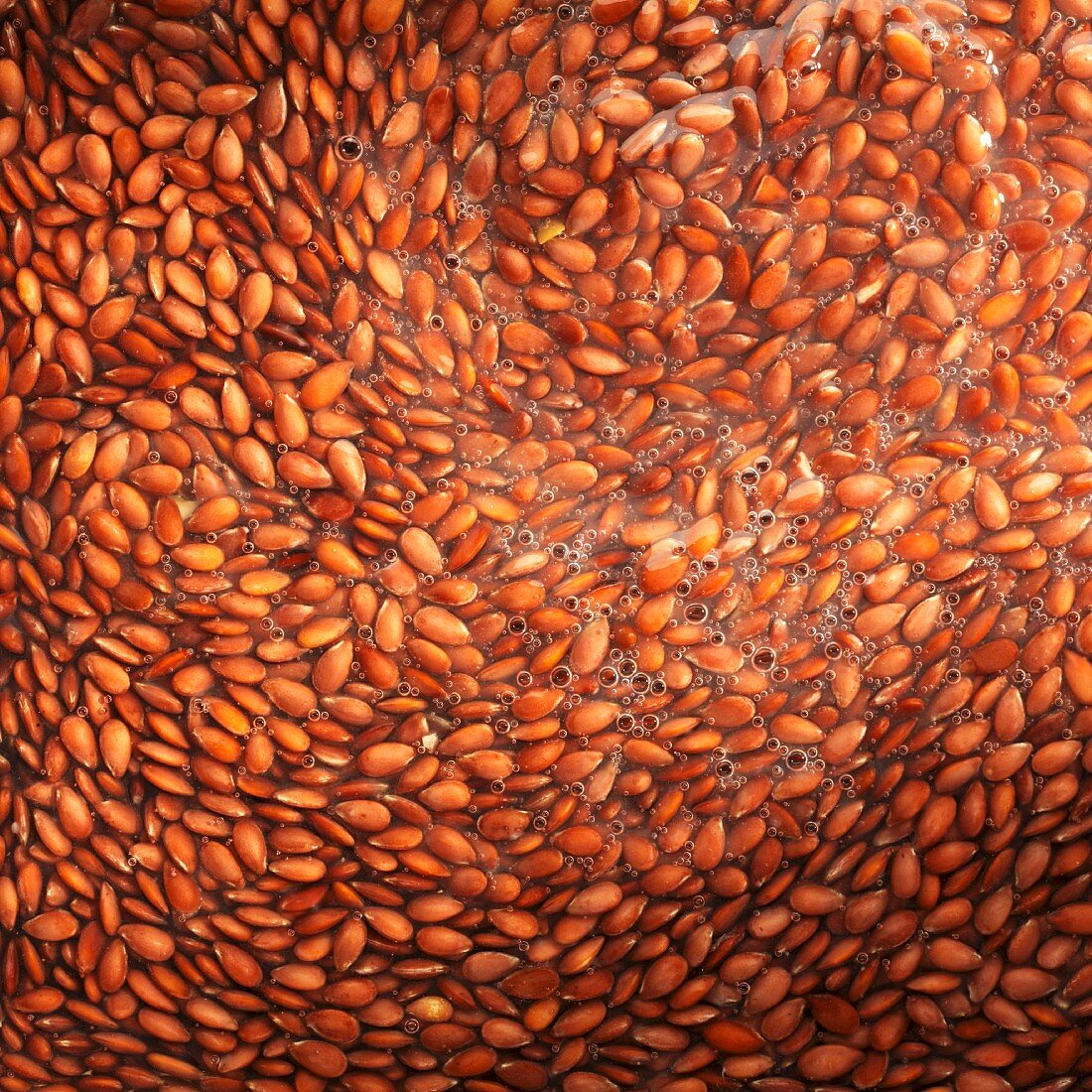 Flax seeds, softened (full frame)