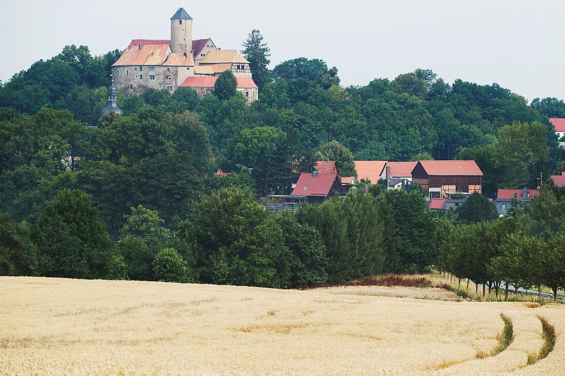 Burg Schönfels (near Zwickau) in the Erz Mountains