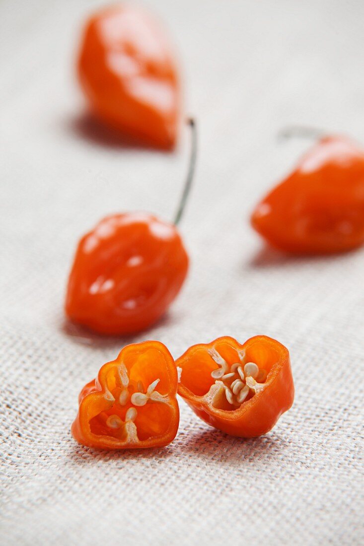 Scotch Bonnet Chilischoten auf einer Tischdecke