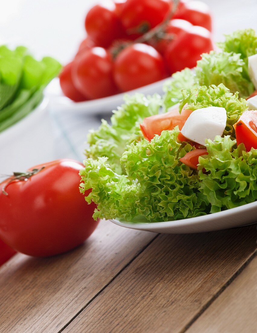 Lollo biondo lettuce with tomatoes and mozzarella