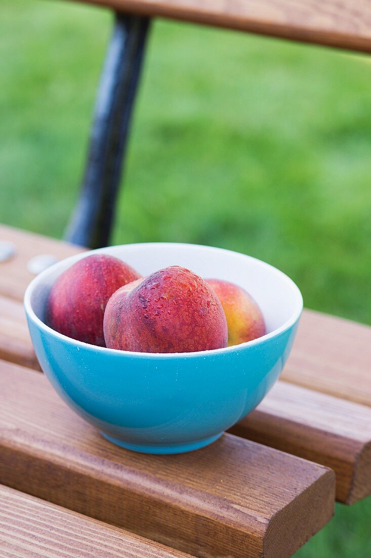 Fresh peaches in a blue bowl on a garden chair