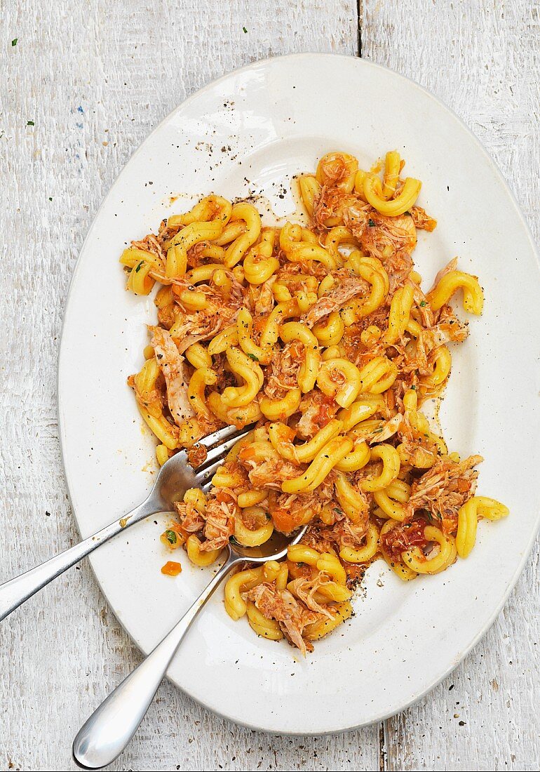 Pasta with chicken ragout (seen from above)