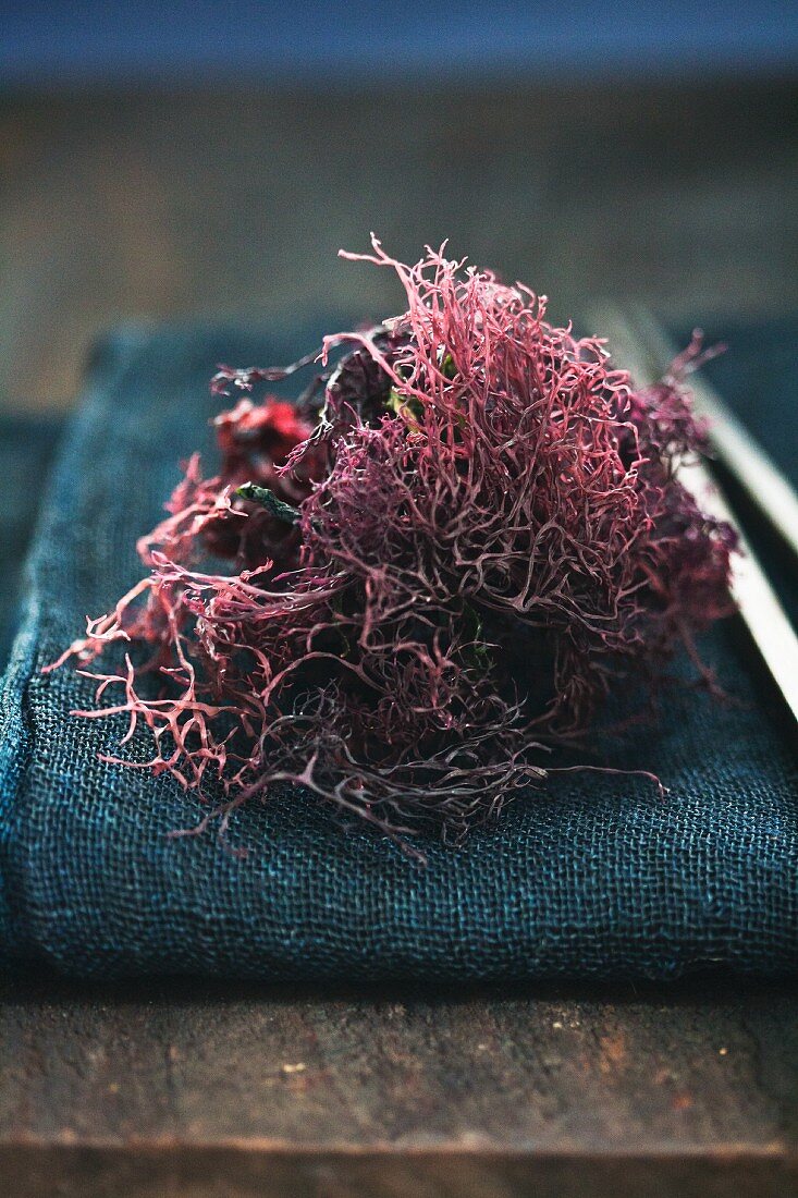 Dried, red seaweed for a salad