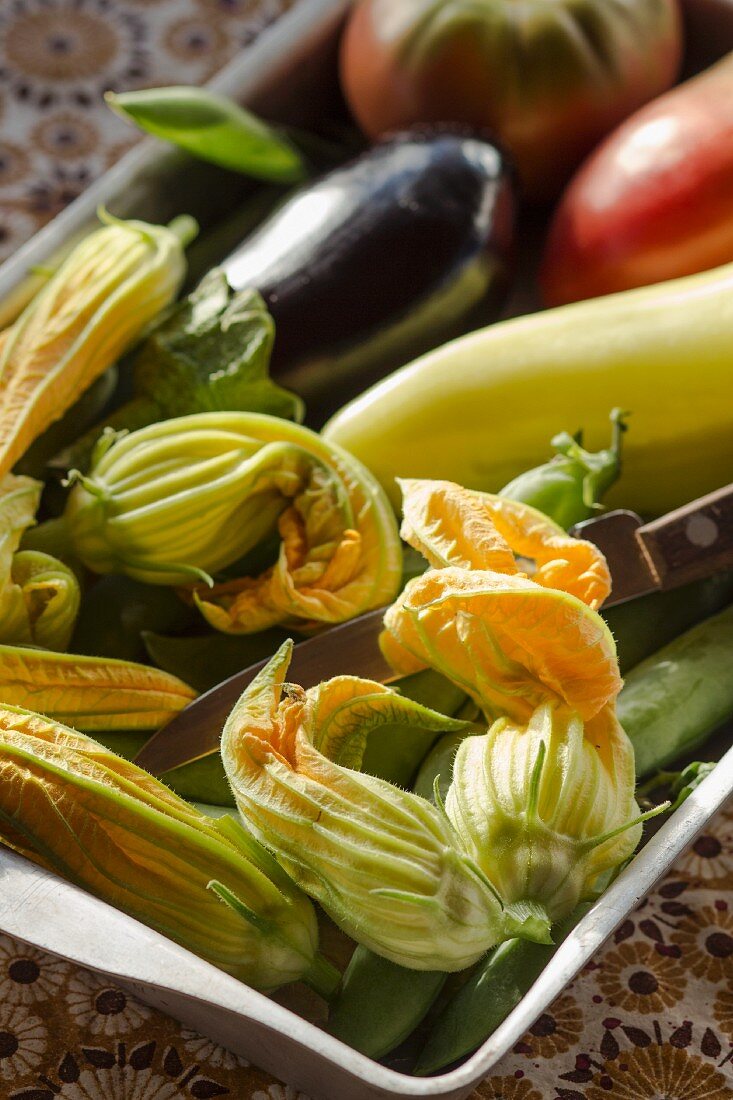 Frisches Sommergemüse & Zucchiniblüten