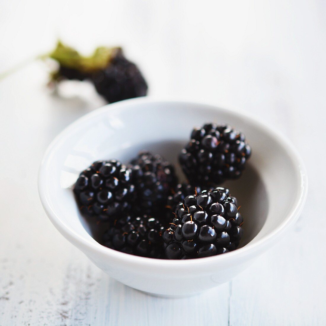 A bowl of fresh blackberries