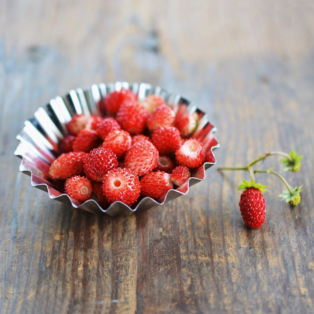 Frische Walderdbeeren in Metallbackförmchen