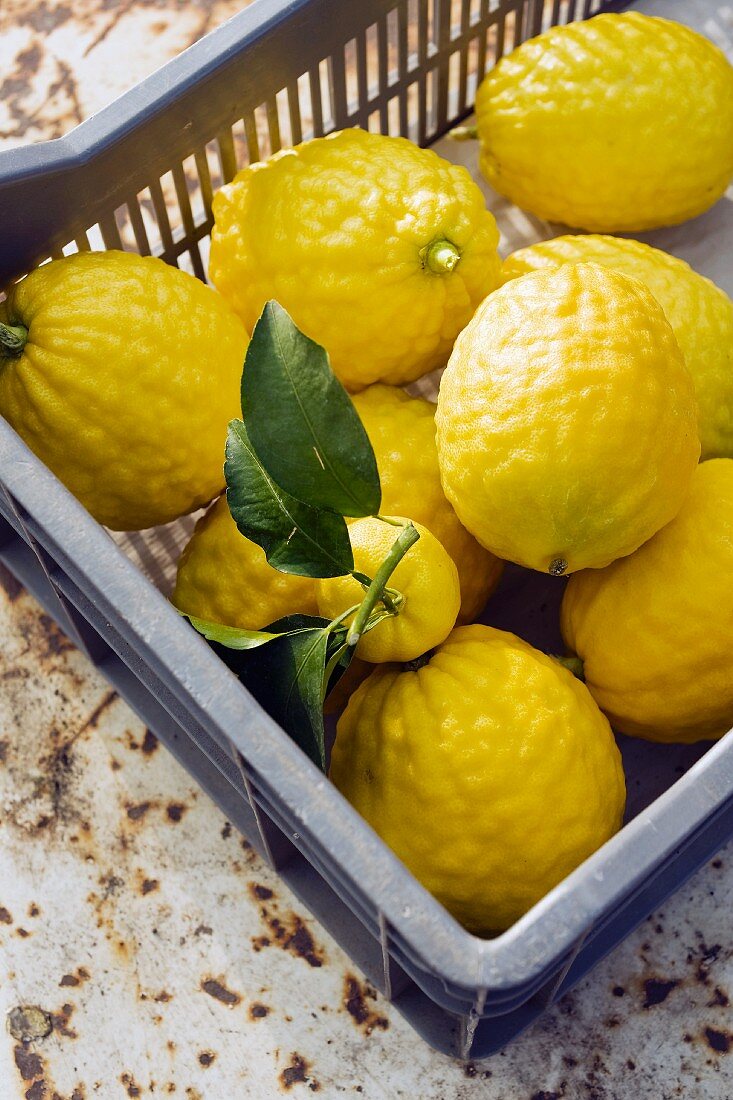 Zitronen in einer Steige