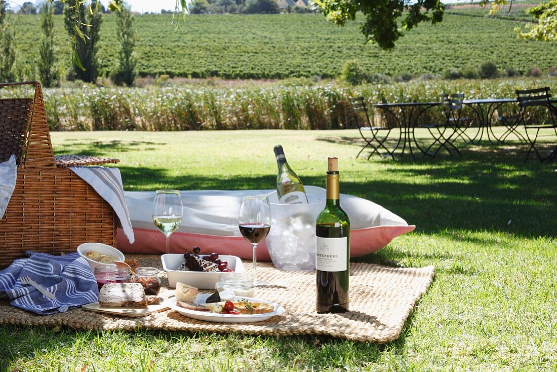 Picknick mit Wein