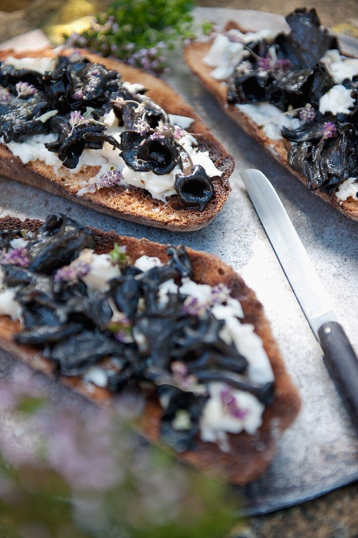 Toast topped with mozzarella and wild mushrooms