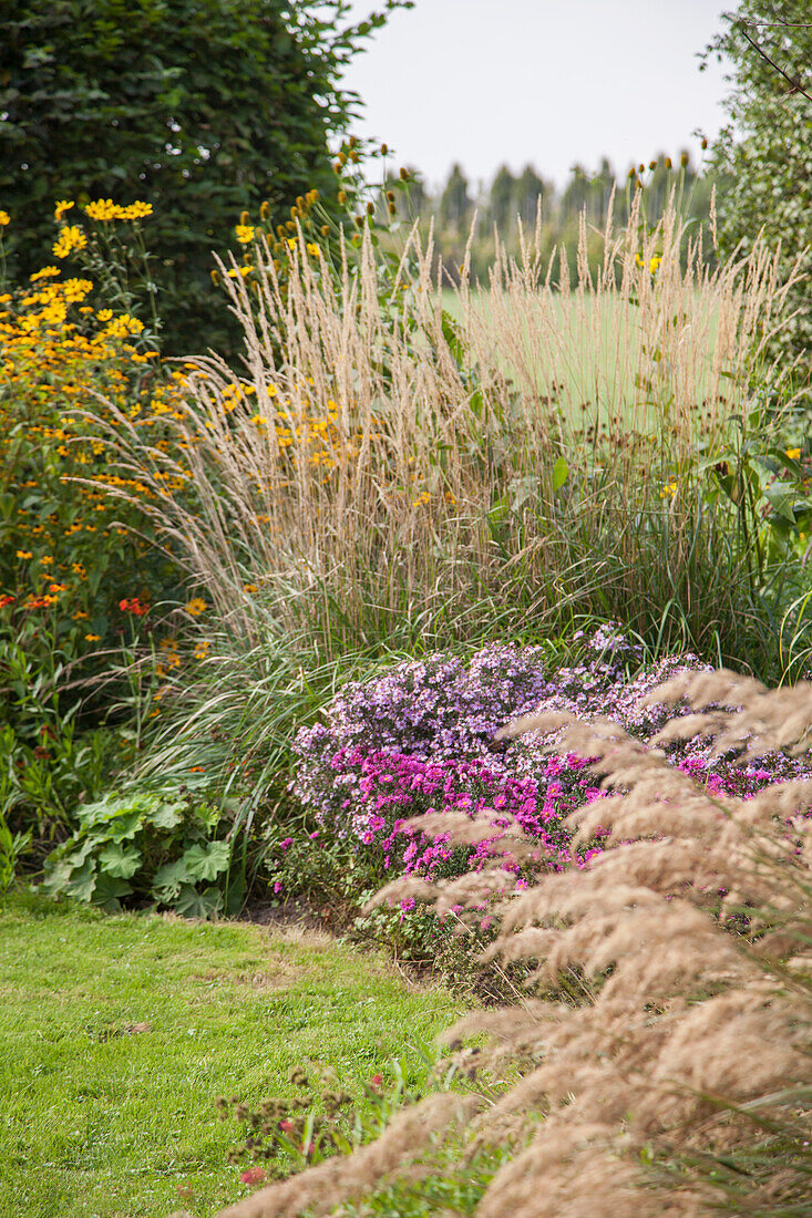 Ziergräser und blühende Blumen in weitläufigem Garten