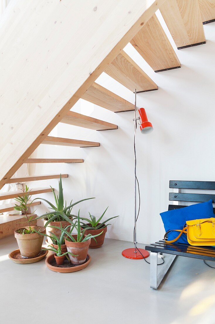 Succulents in terracotta pots on pale grey epoxy resin floor below solid-wood staircase in modern interior