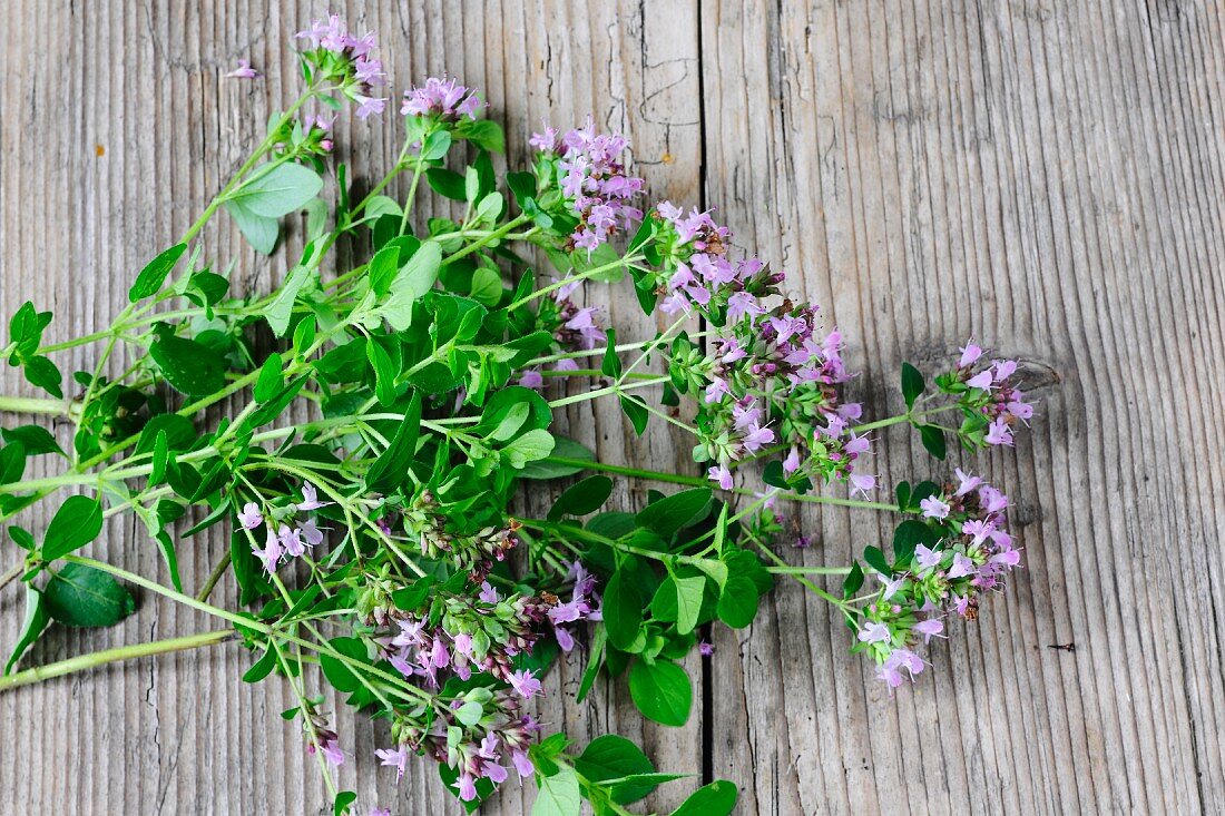 Fresh oregano with flowers on a wooden surface