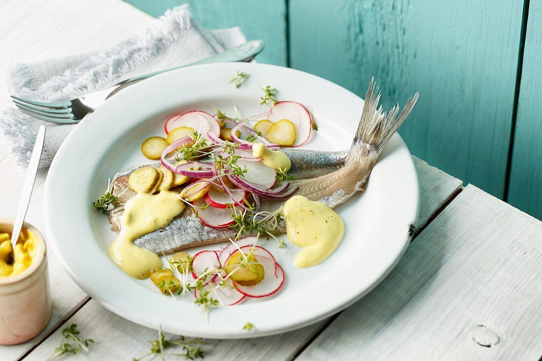 Matjesfilets mit frischen Radieschen, Cornichons und Senfsauce