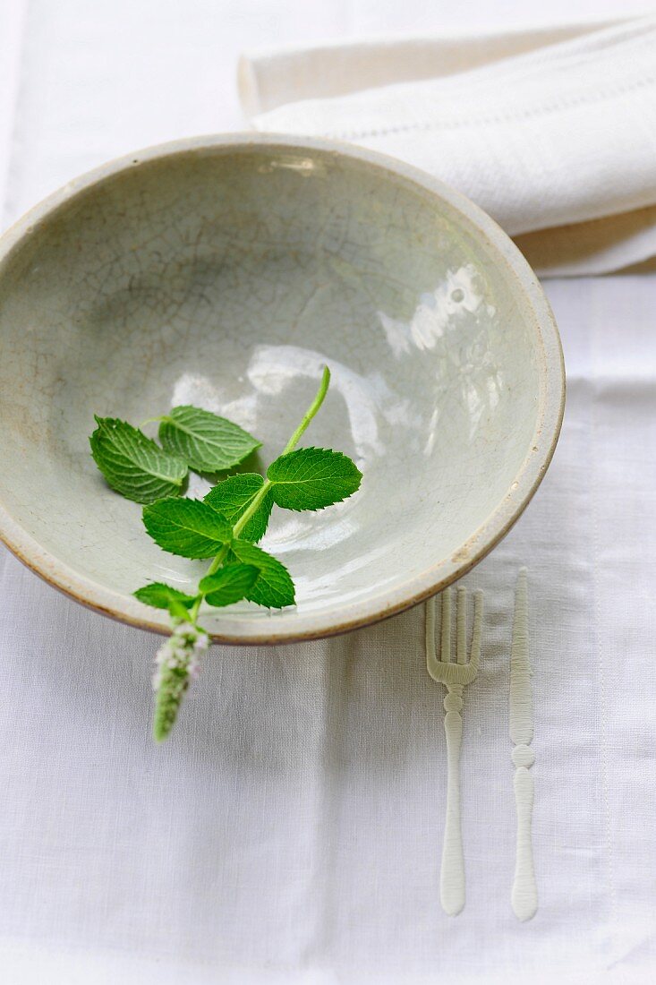 A sprig of fresh mint in a ceramic bowl