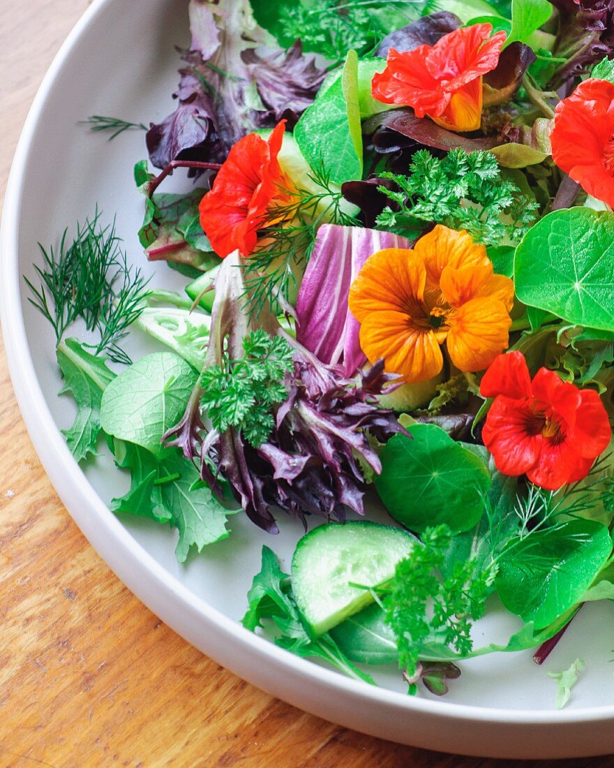 A mixed leaf salad with cucumber, herbs and nasturtium flowers