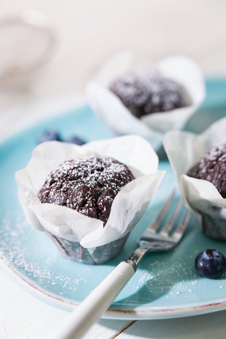 Chocolate muffins with icing sugar in paper cases