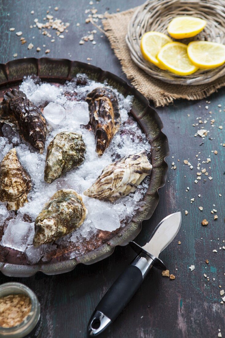 Fresh oysters on ice with an oyster knife and lemon slices