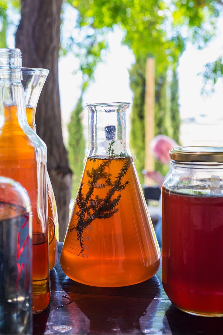 Various infusions in carafes, bottle and a screw-top jar