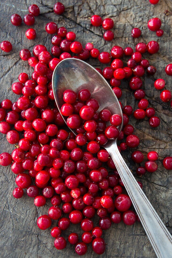 Lingonberries with a spoon (seen from above)