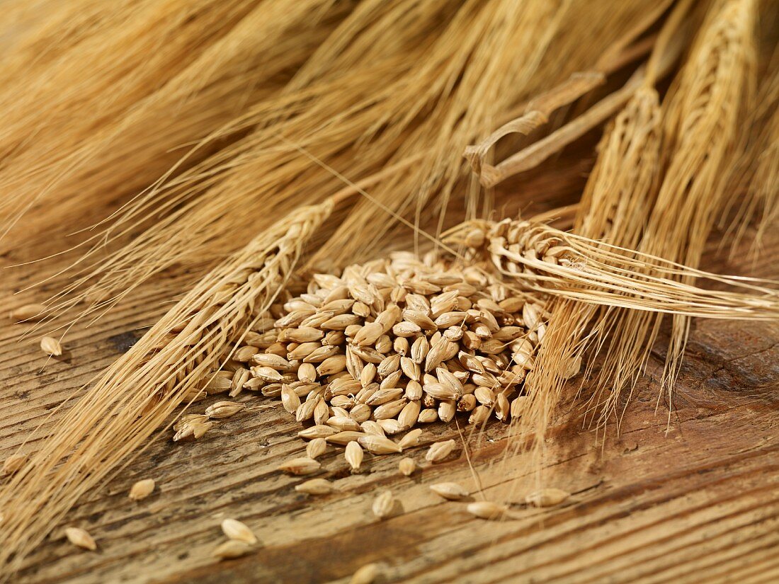 Barley seeds and ears of barley on a wooden surface