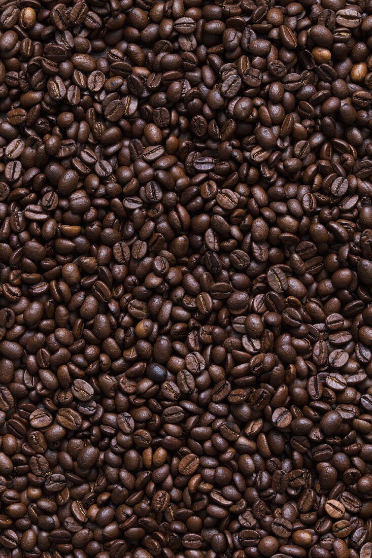 Viele dunkle Kaffeebohnen